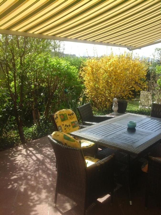 Reitbergs Nest Apartman Eugendorf Kültér fotó