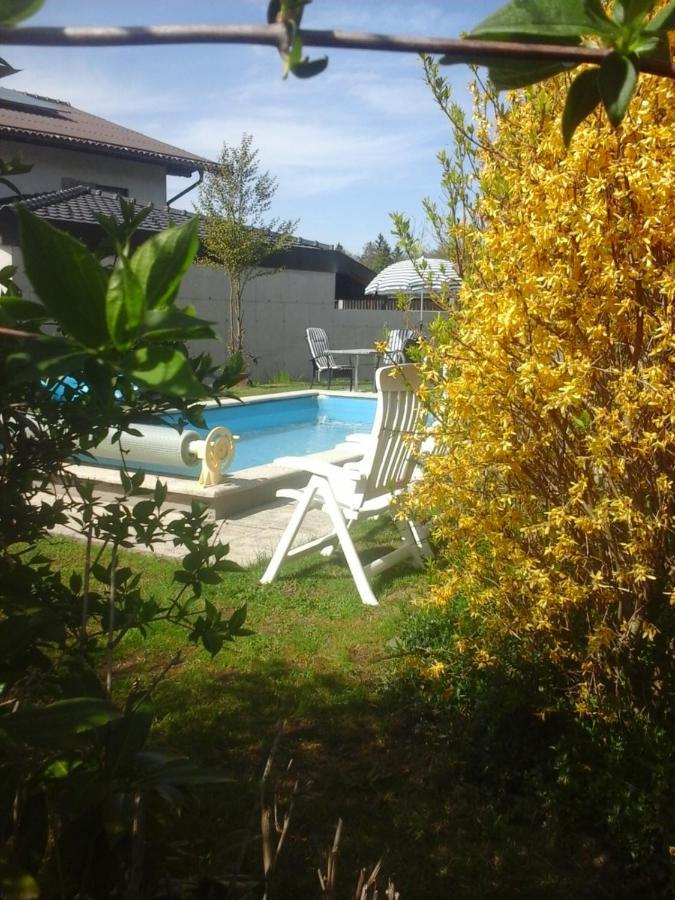 Reitbergs Nest Apartman Eugendorf Kültér fotó