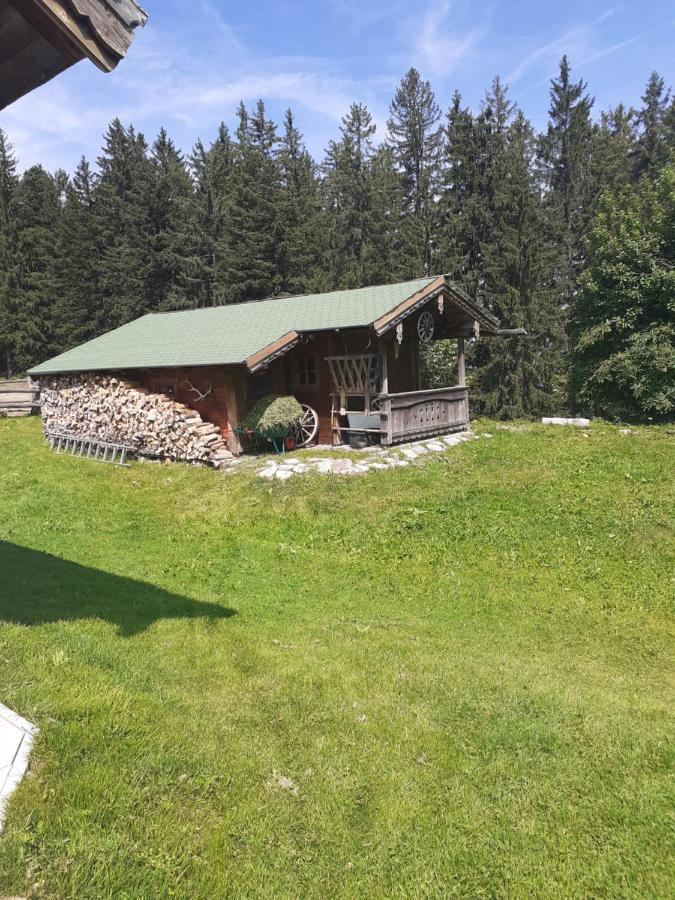 Reitbergs Nest Apartman Eugendorf Kültér fotó