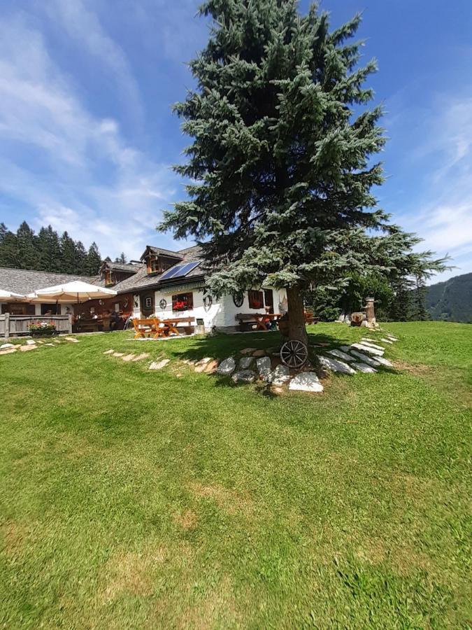Reitbergs Nest Apartman Eugendorf Kültér fotó
