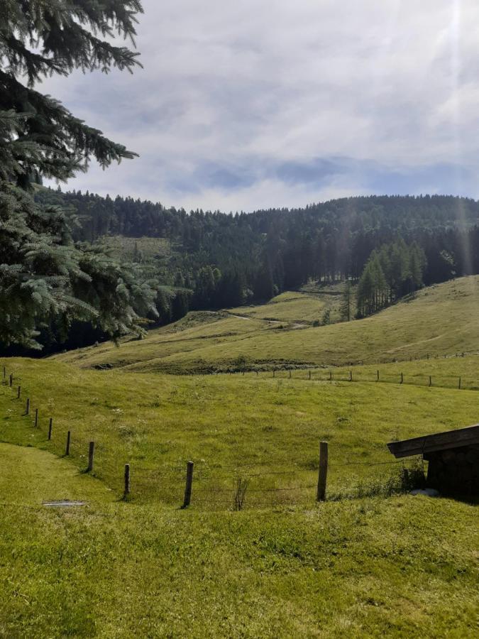 Reitbergs Nest Apartman Eugendorf Kültér fotó
