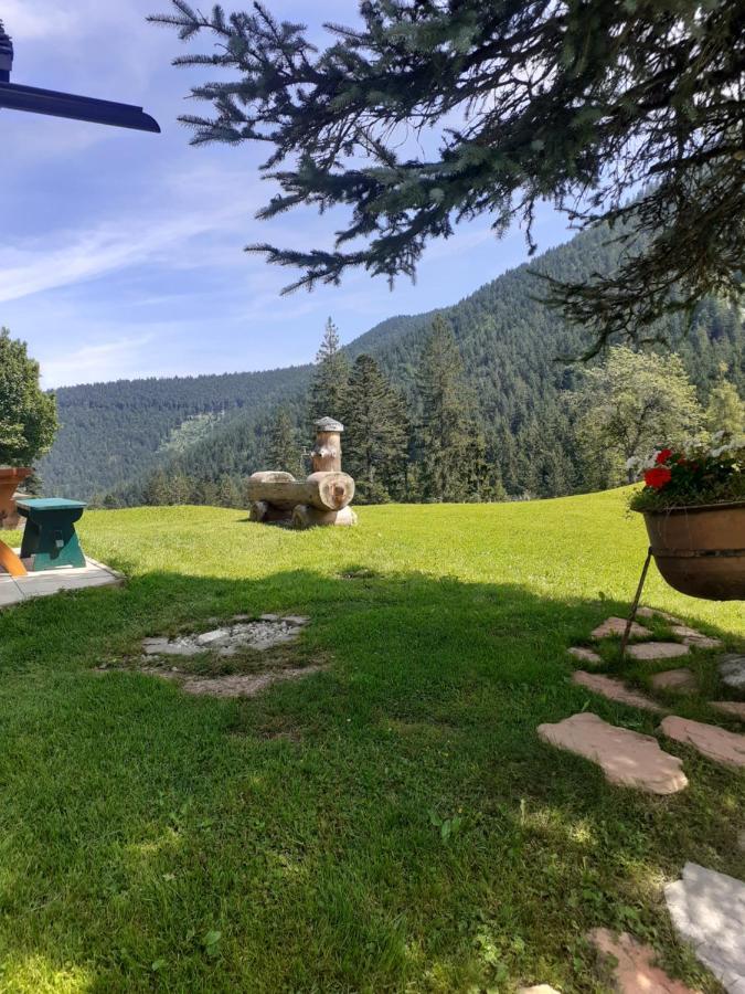 Reitbergs Nest Apartman Eugendorf Kültér fotó